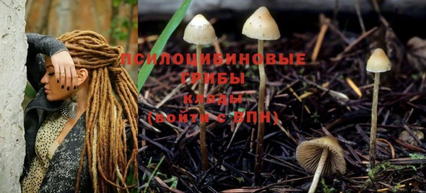 каннабис Алексеевка