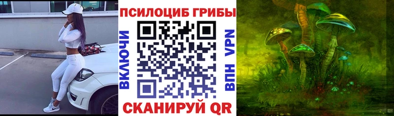 где купить наркотик  Рошаль  Псилоцибиновые грибы прущие грибы 